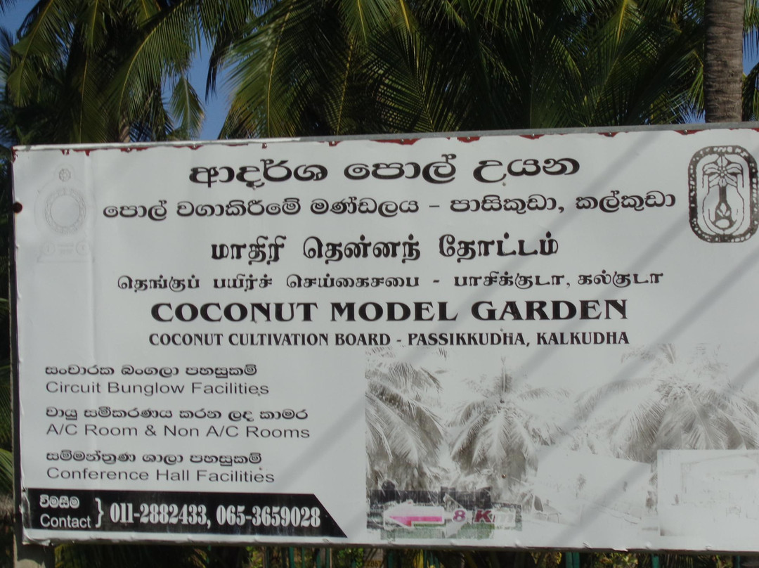 Coconut Cultural Park-卡尔库达必去景点