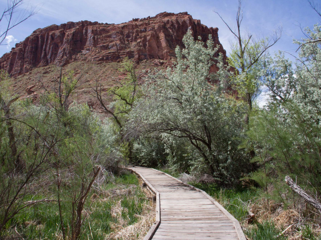 Scott Matheson Wetlands Preserve-莫阿布必去景点