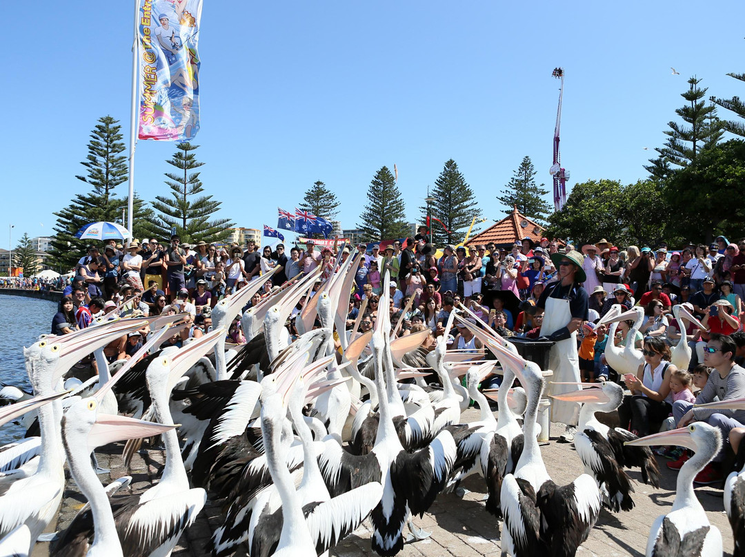Central Coast Visitor Centre-恩瑞斯必去景点