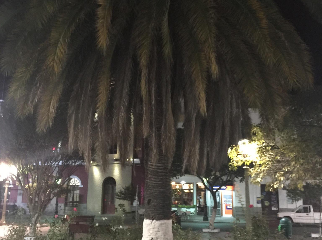 Plaza Luis de Fuentes-塔里哈必去景点