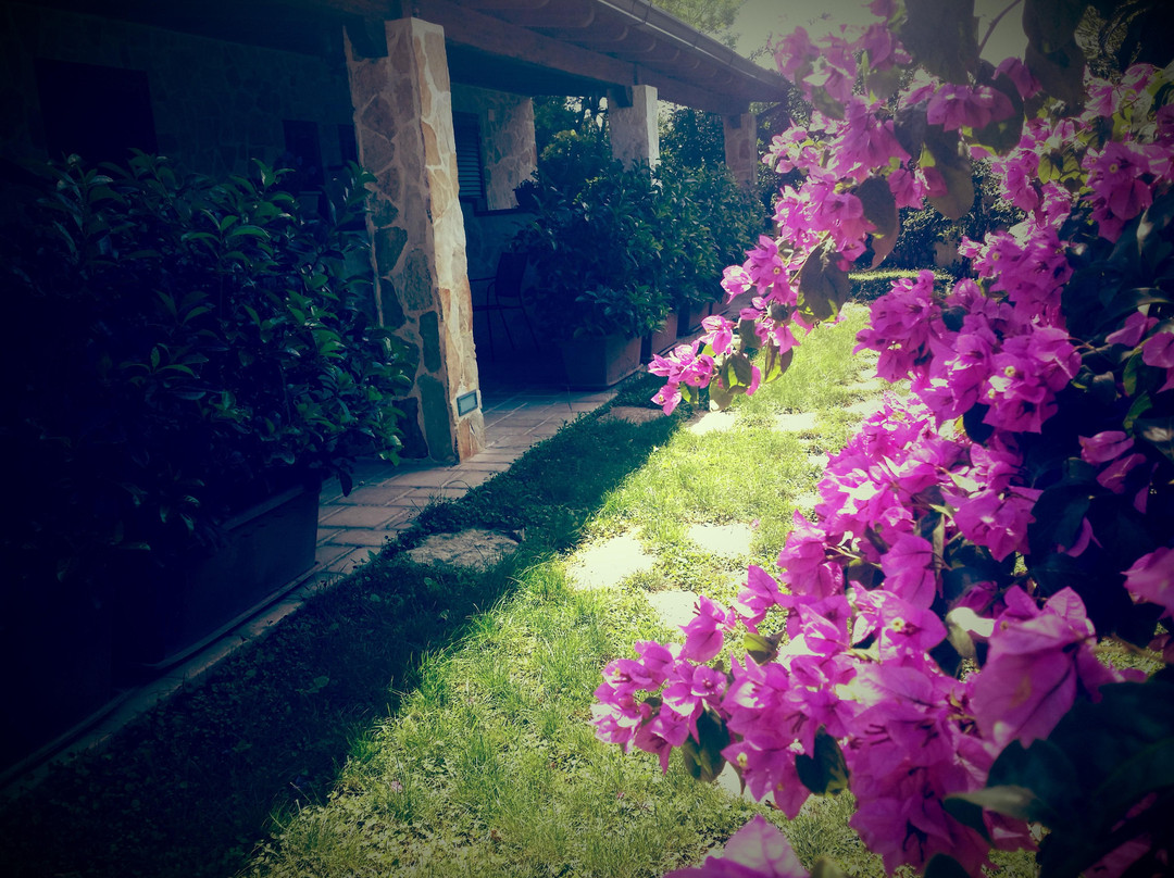 B&B I Gelsomini