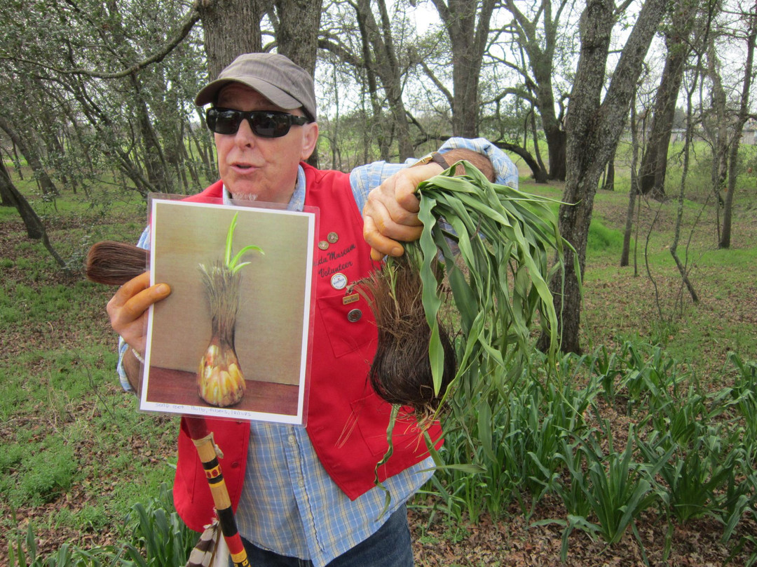 Maidu Museum & Historic Site-罗斯维尔必去景点
