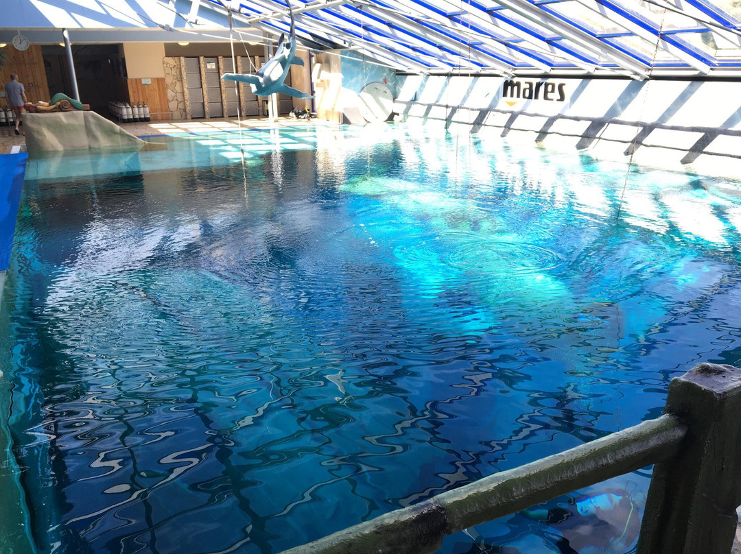 Berg旅游景点-Monte Mare Rheinbach