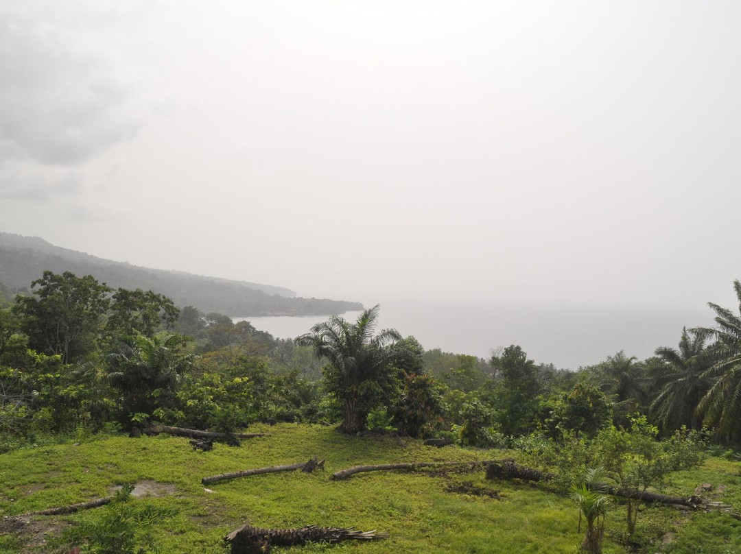 Roca Monte Forte