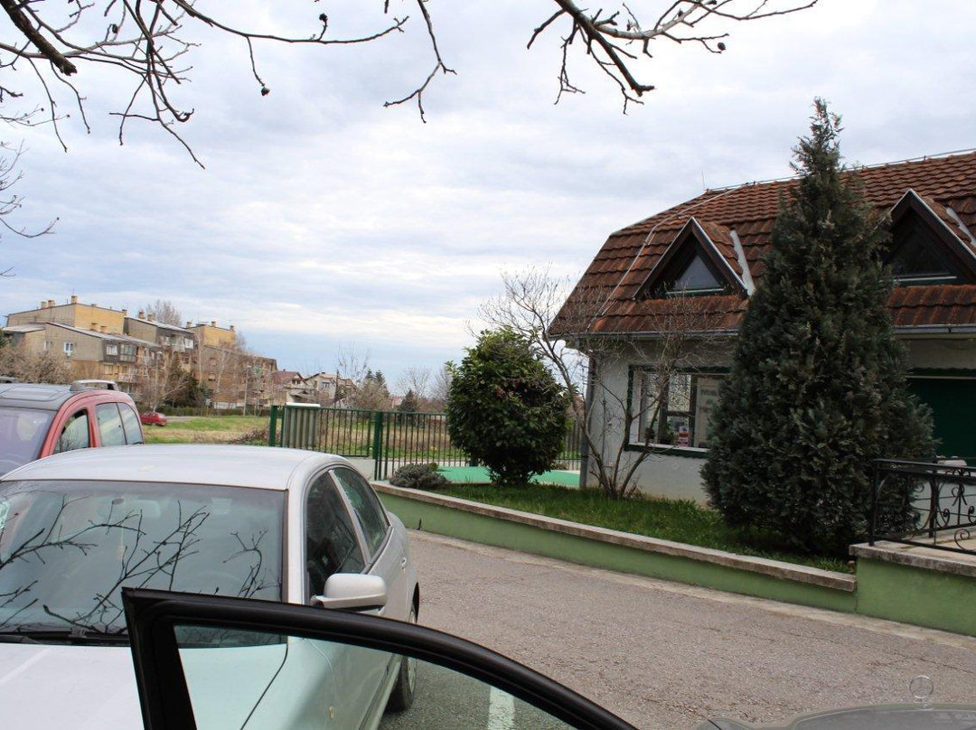 Sremska Kamenica旅游攻略图片