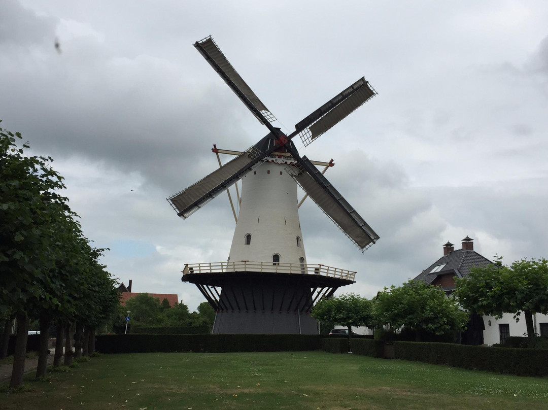 The White Mill (Witte Molen)景点图片