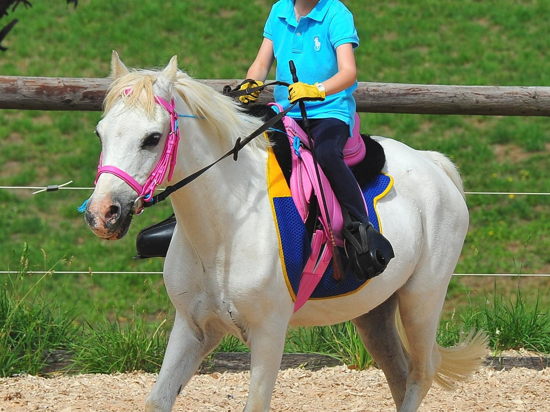 Kirby Park - Megan Jones Riding School景点图片