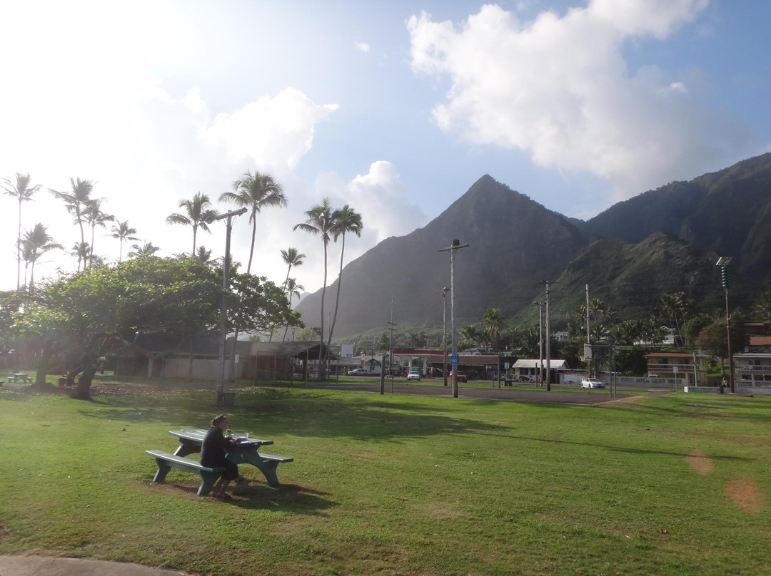 Swanzy Beach Park-卡阿瓦必去景点