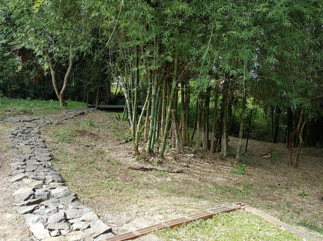 De Rock Jungle Living Masinagudi主图