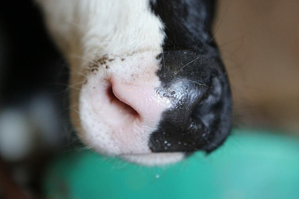 Agri'KIDS景点图片