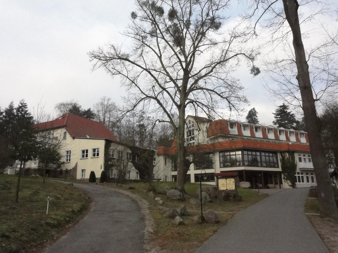 Hotel Haus Chorin主图