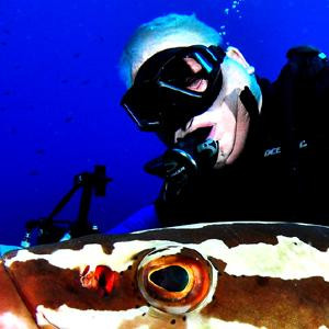 Underwater Adventures景点图片
