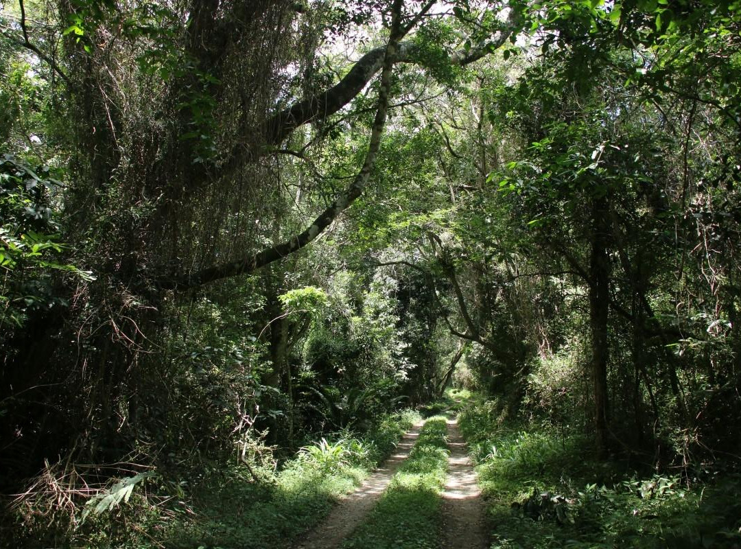 Dwesa Nature Reserve-Port St Johns必去景点