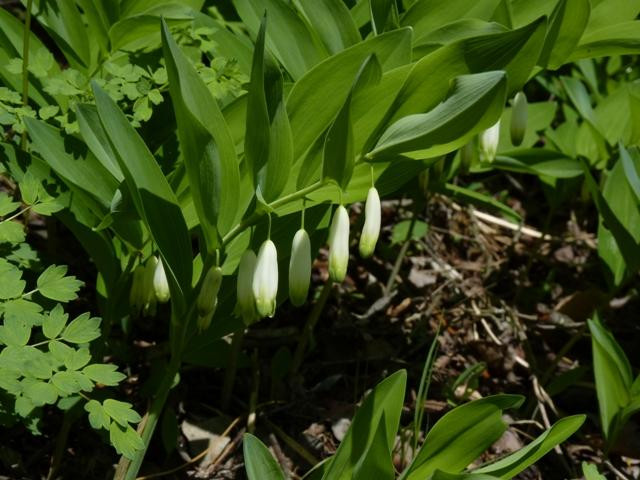 Wine Hiking-Würzburg-Guentersleben必去景点
