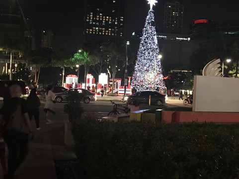 Activefun Bonifacio High Street-塔吉格必去景点