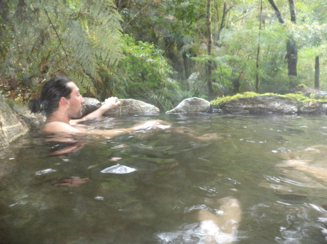 El Pionero-Puerto Aisen必去景点