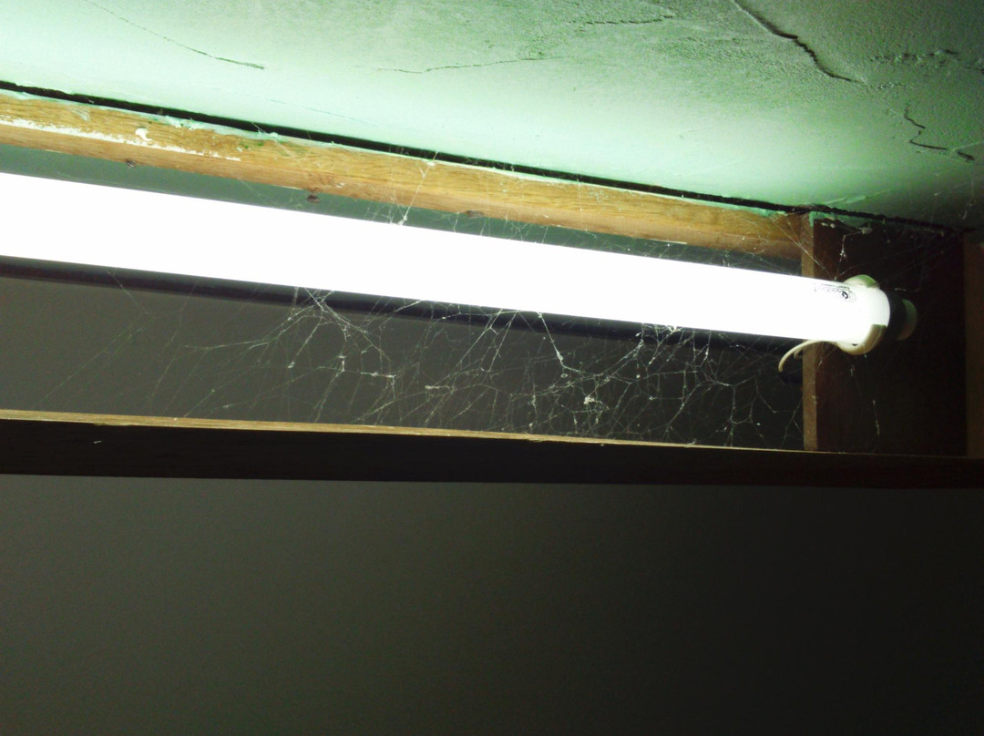 Ilha do Amor Hotel主图