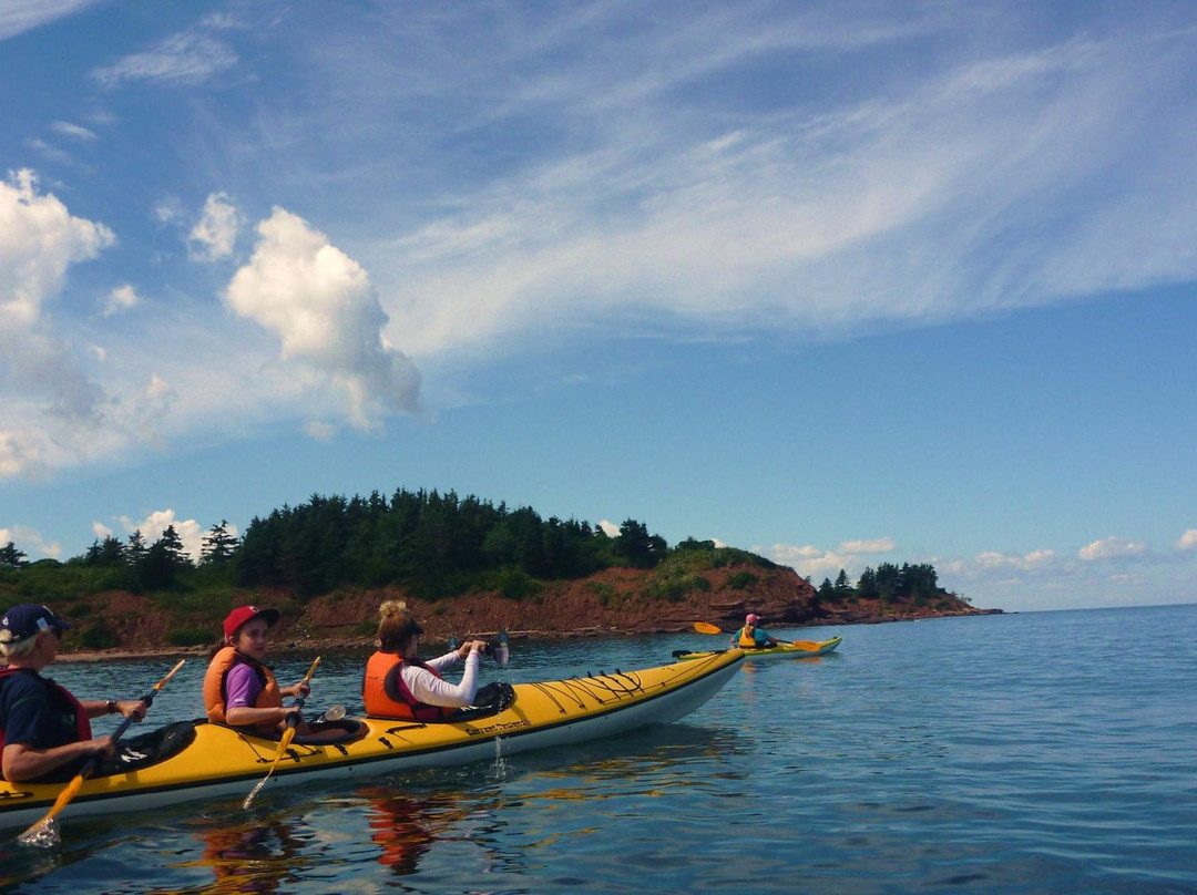 Coastal Spirit Expeditions-Cape John必去景点