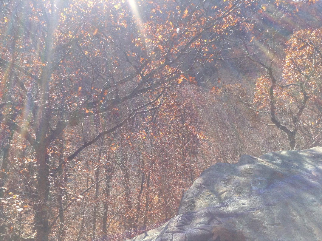 Zaleski State Forest-Zaleski必去景点