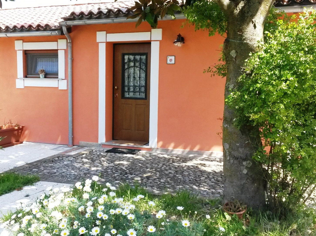 Agriturismo Stella e il Grillo主图
