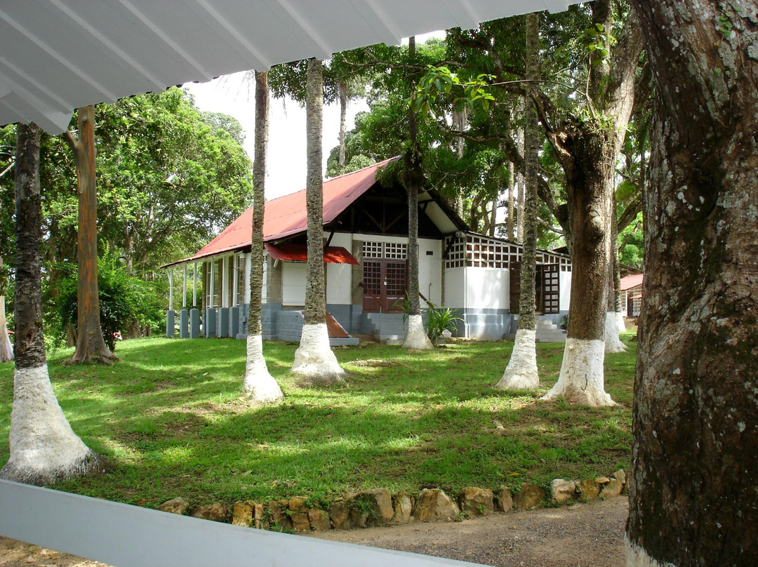Museum Albert Schweitzer