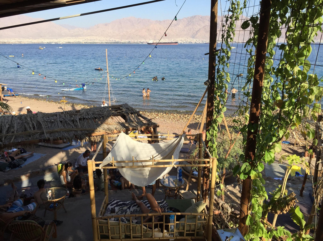 Mosh Beach-埃拉特必去景点