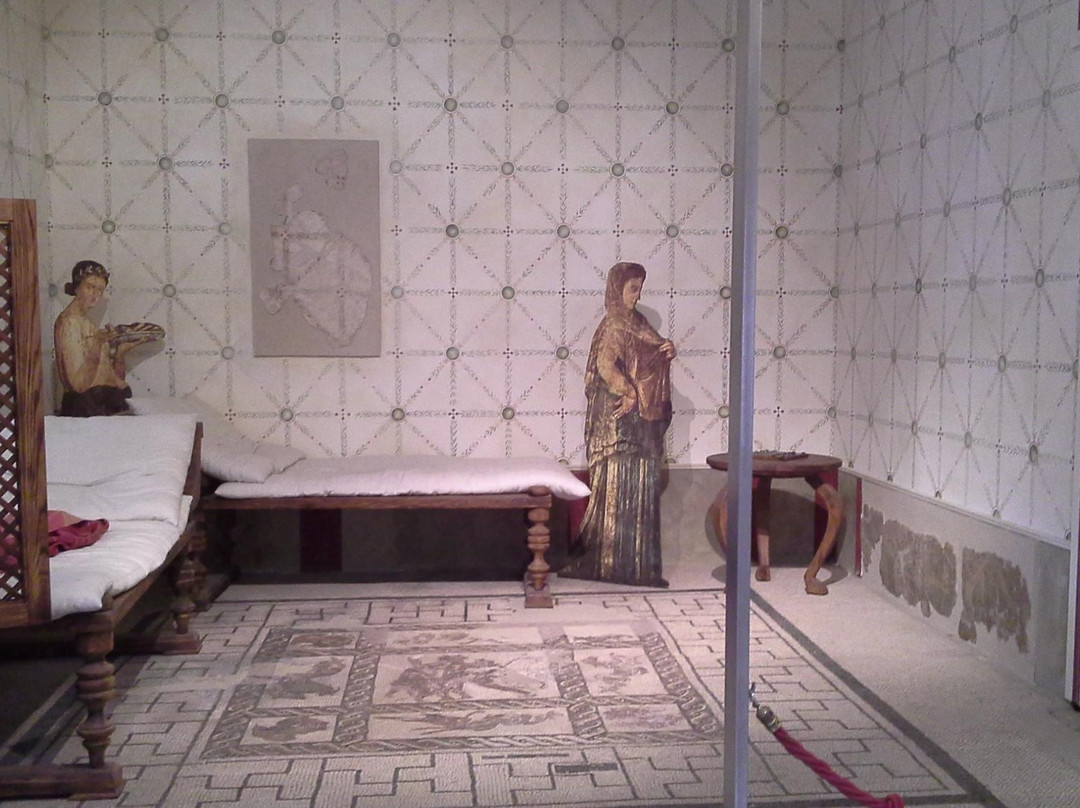 Museo Archeologico Nazionale di Sarsina景点图片