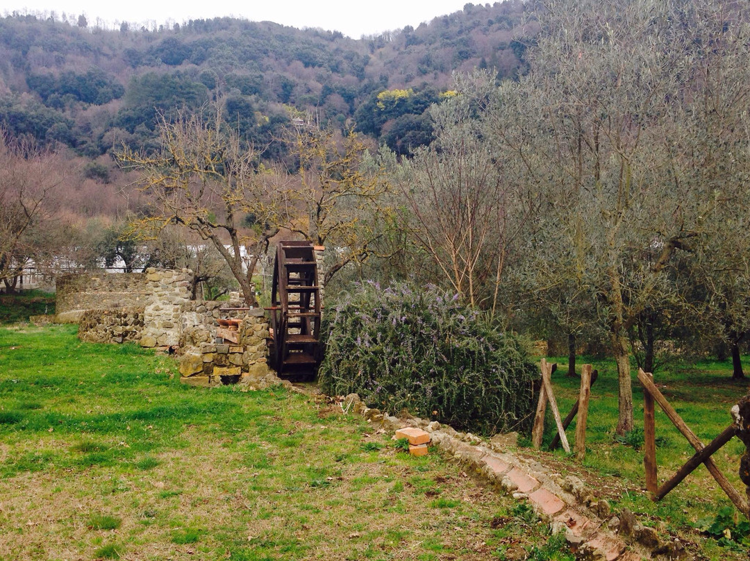 Azienda Il Giardino di Diana景点图片