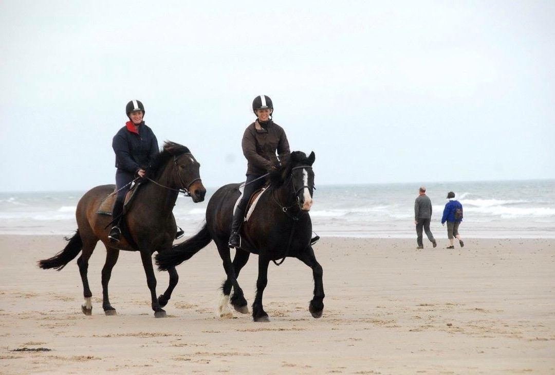 Slate Hall Riding Centre-Seahouses必去景点
