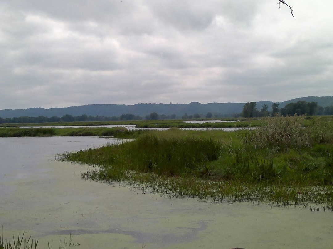 Goose Island County Park-拉克罗斯必去景点