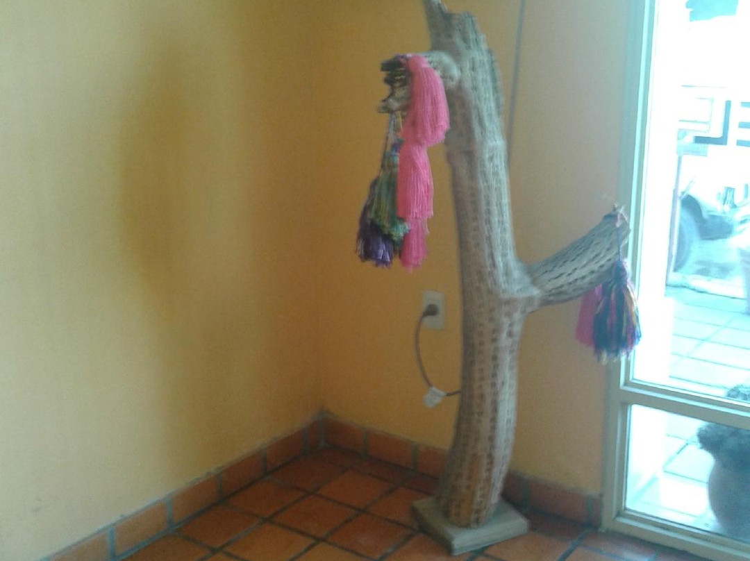 Hotel Cerro del Sol主图