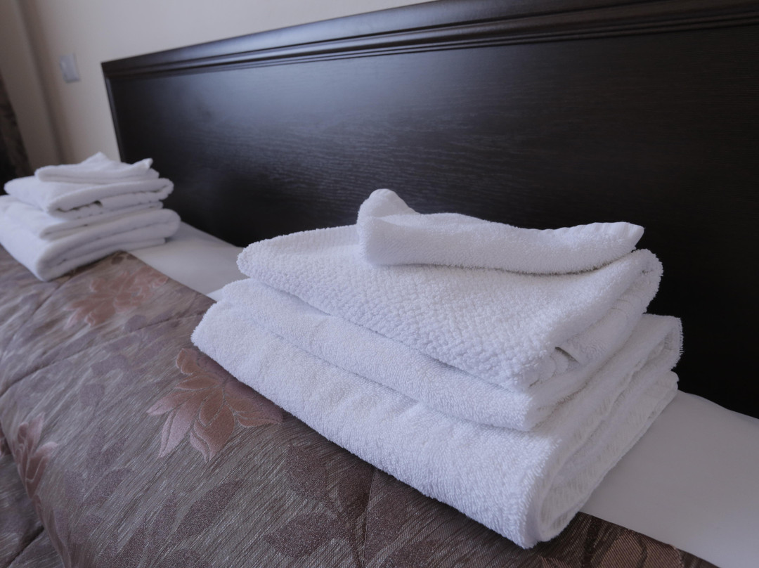Korolevsky Dvor Hotel主图