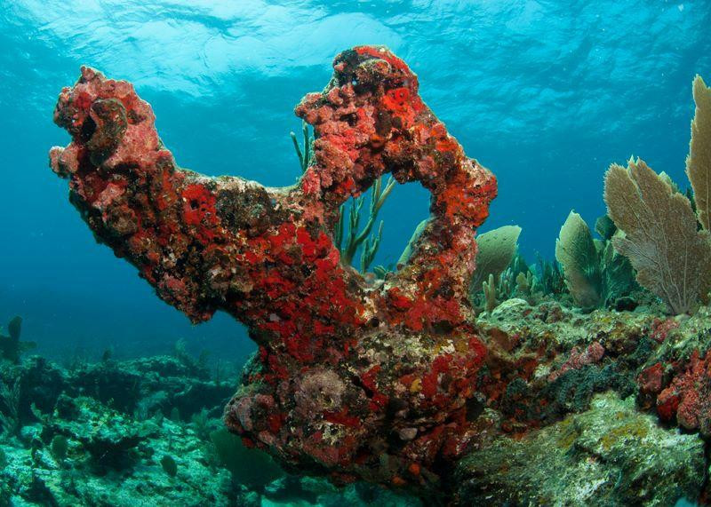 Octopus Diving-格兰德凯斯必去景点