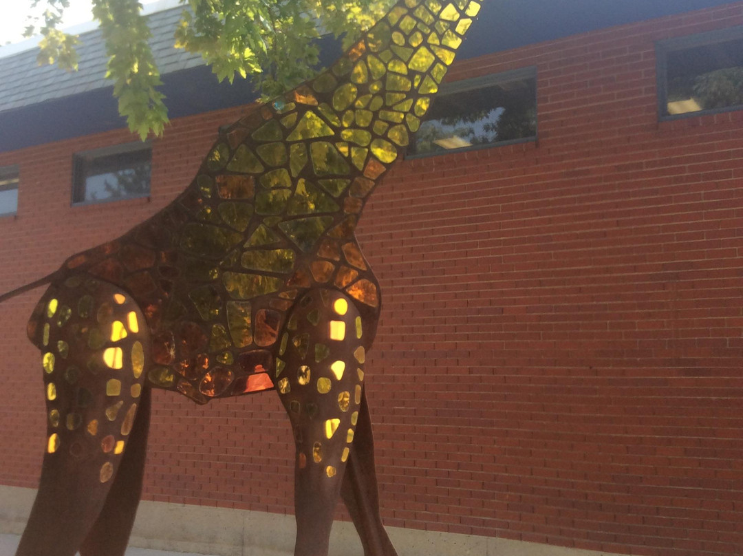 WOW! Children's Museum-Lafayette必去景点