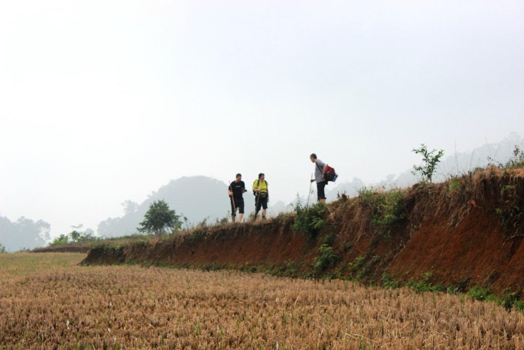Duy Tho Homestay-官方
