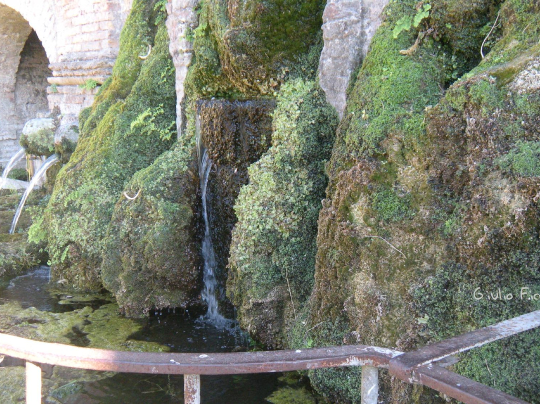 Fontana di Civitanova景点图片