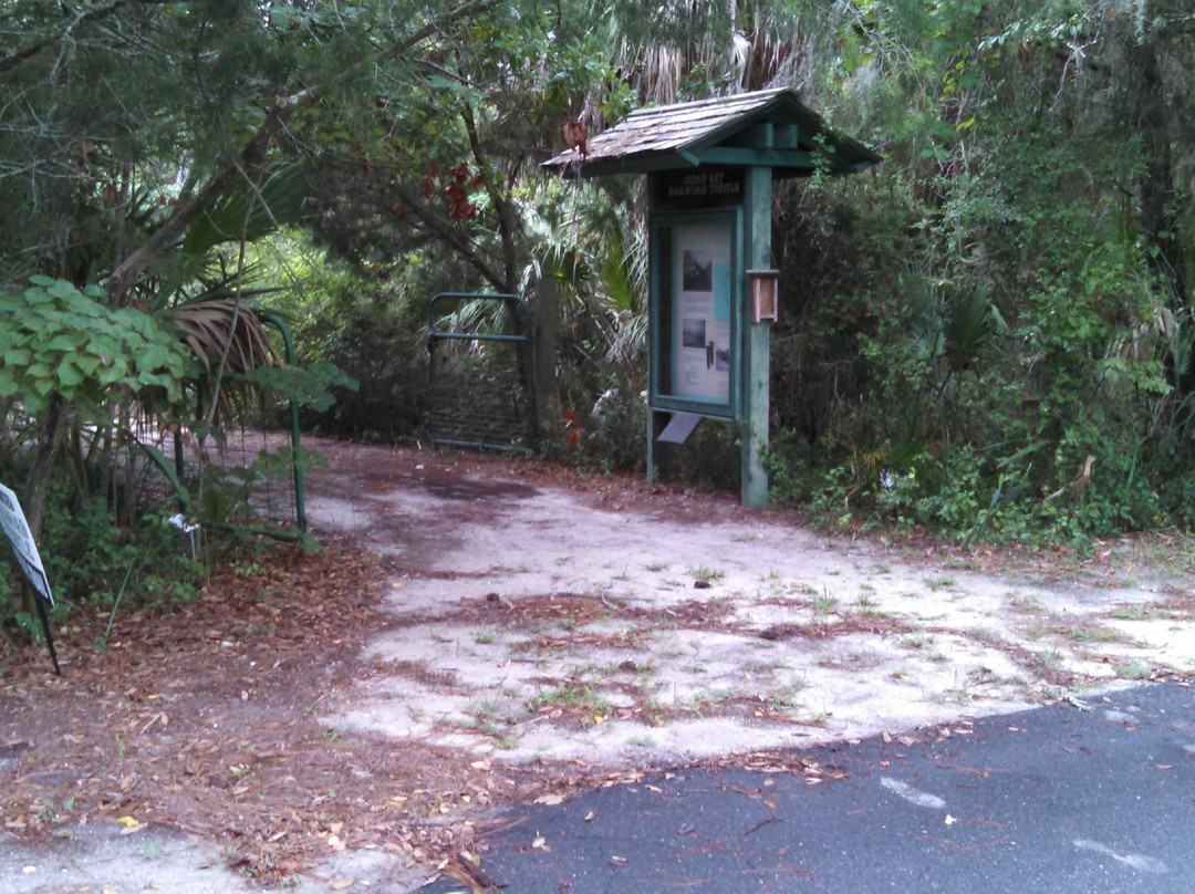 Cedar Key Railroad Trestle Nature Trail-锡达礁必去景点