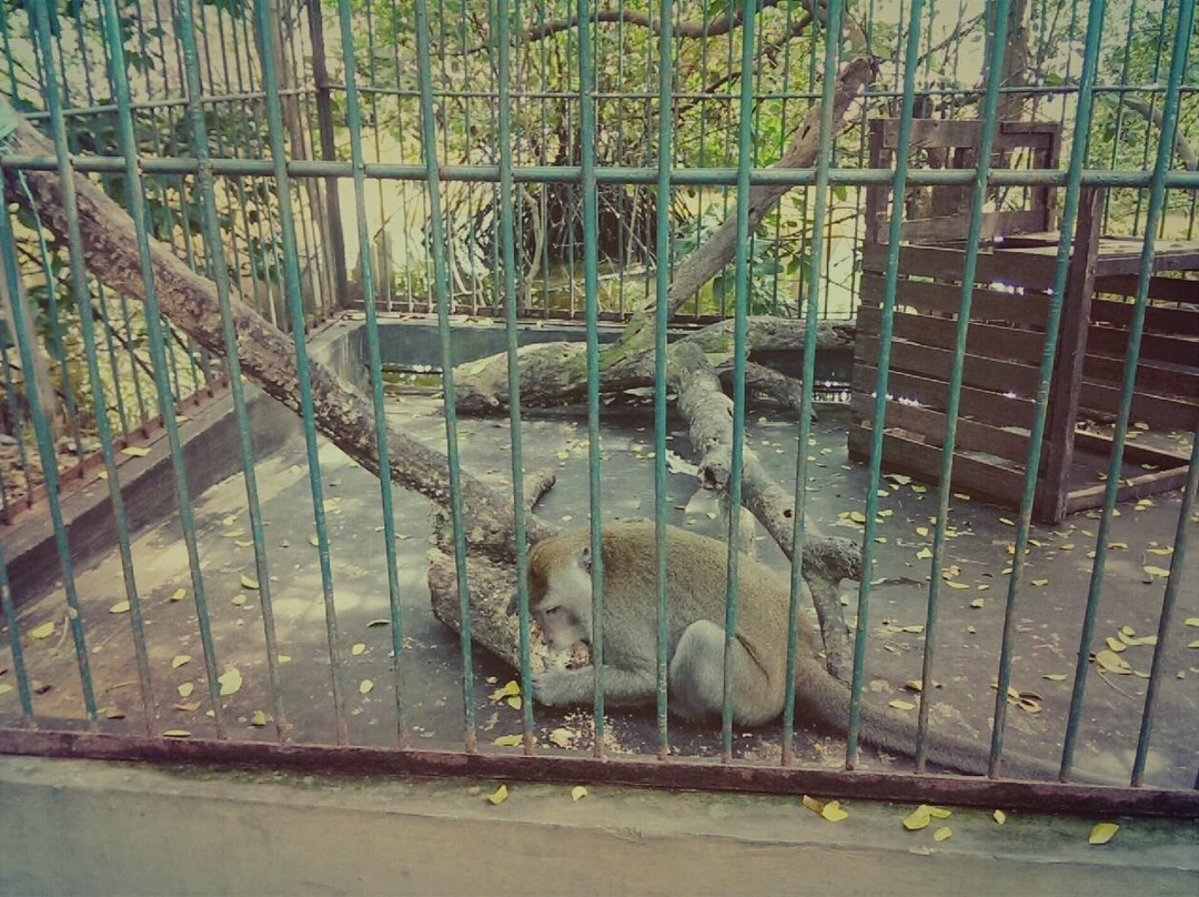 Alam Angke Kapuk Nature Park景点图片