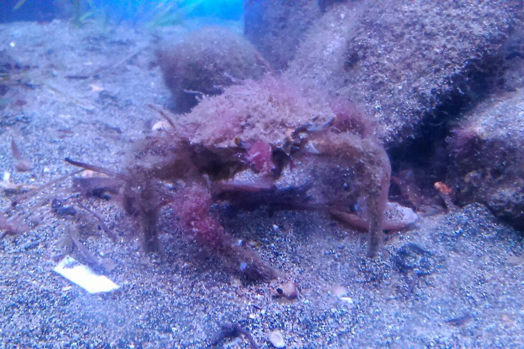 Acquario della laguna di Orbetello景点图片