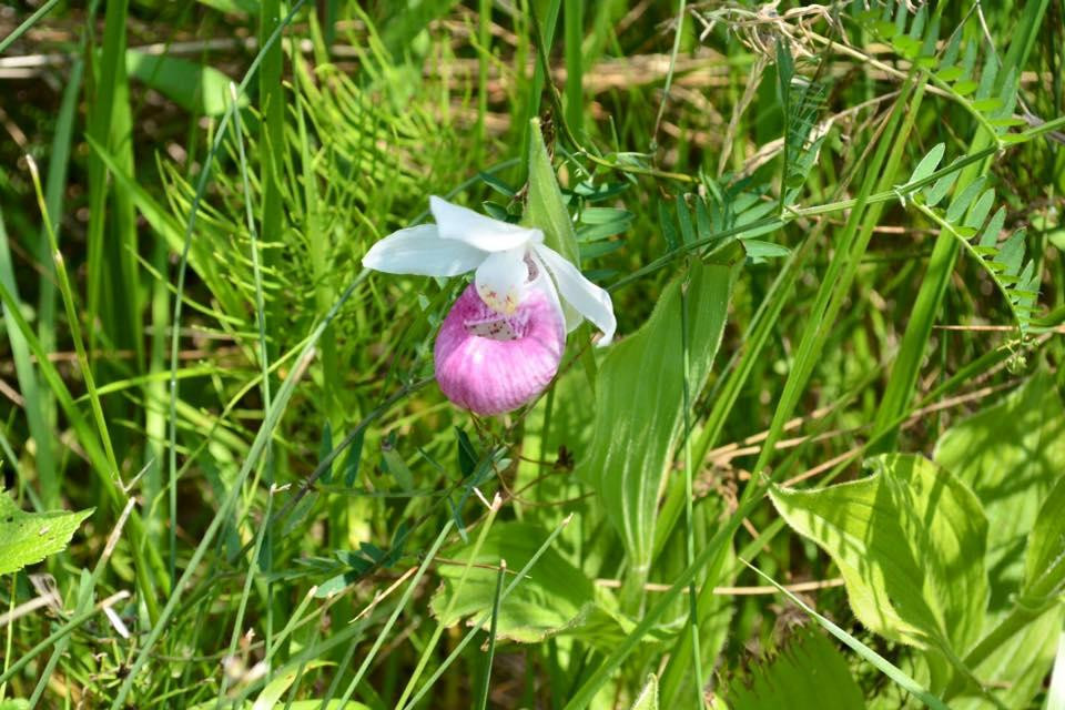 Haven on the Bay B&B主图