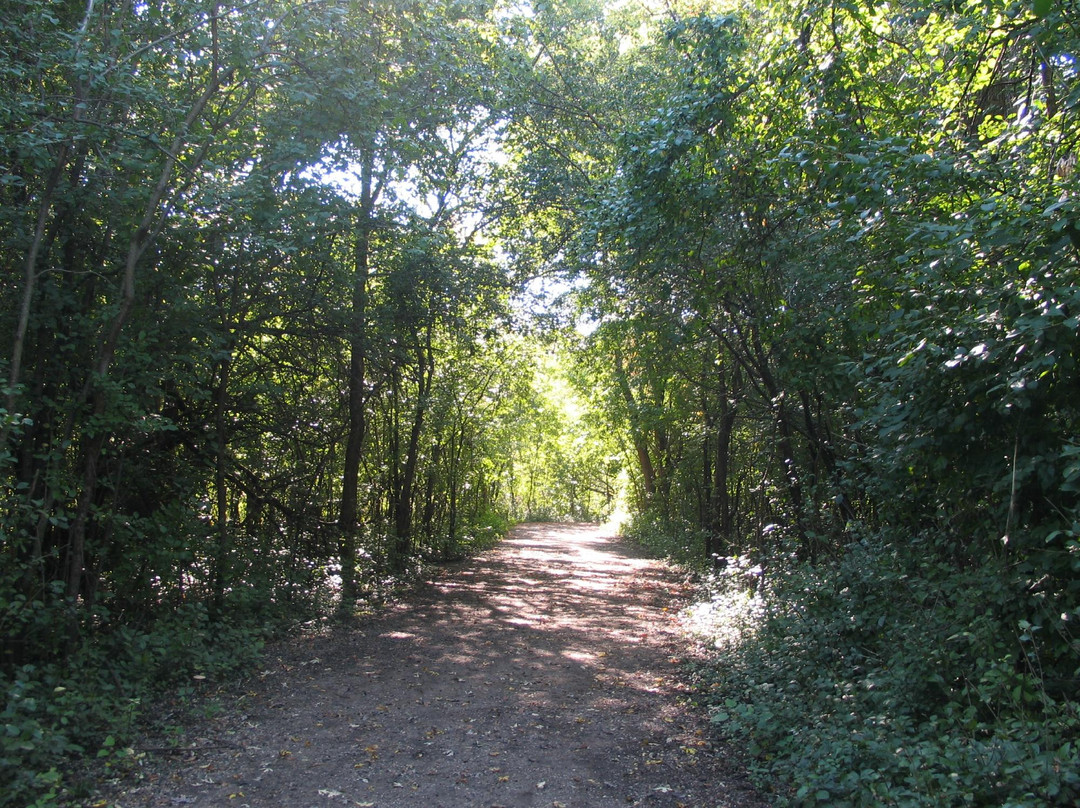 The Blood Run Nature Area-苏福尔斯必去景点