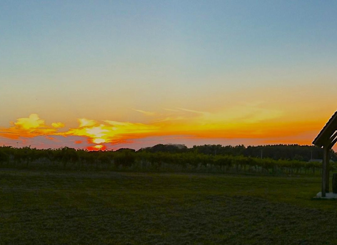 Sleepy Creek Vineyards-Fairmount必去景点