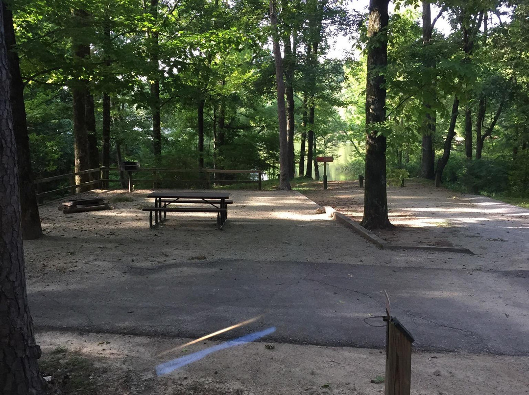 Lake Poinsett State Park-Harrisburg必去景点