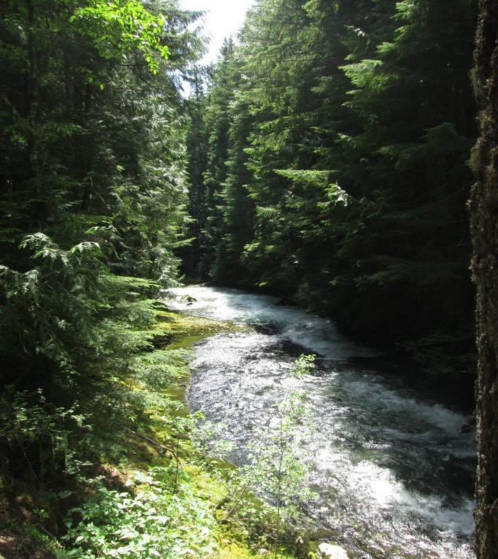 Brandywine Falls Provincial Park-惠斯勒必去景点
