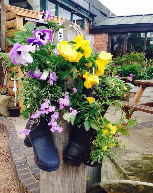 Whitlenge Garden, Tea Room and gift shop-Hartlebury必去景点