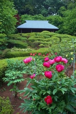 Machida City Minken no Mori Park-町田市必去景点