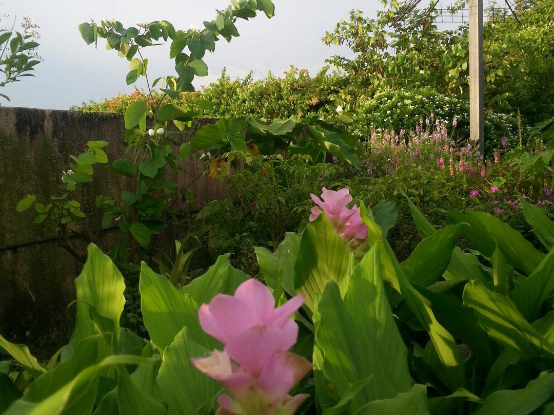 The Secret Garden Utama景点图片