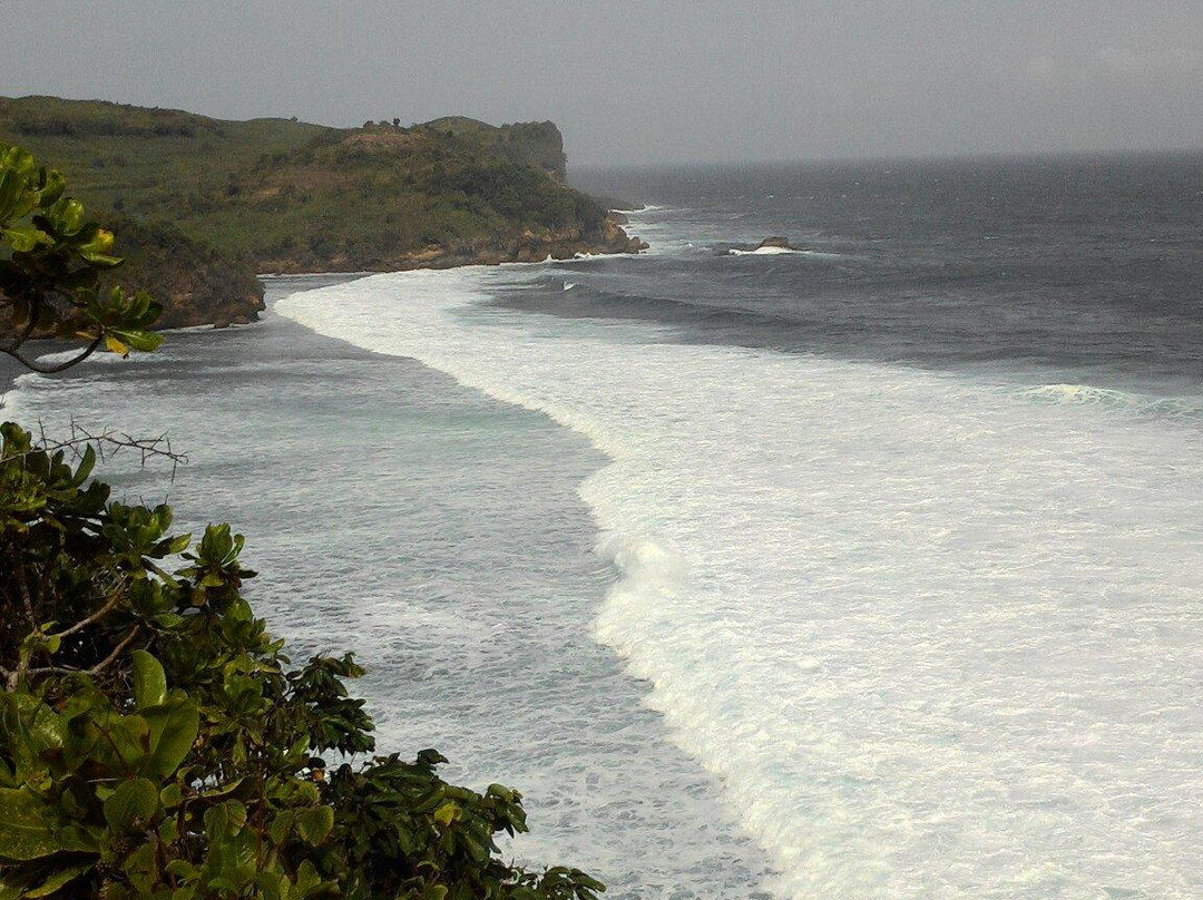 Tambakrejo Beach景点图片