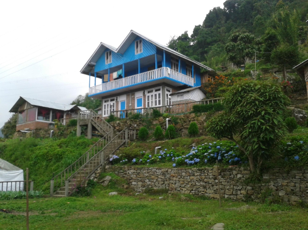 Yes Homes Pinewood Resort主图