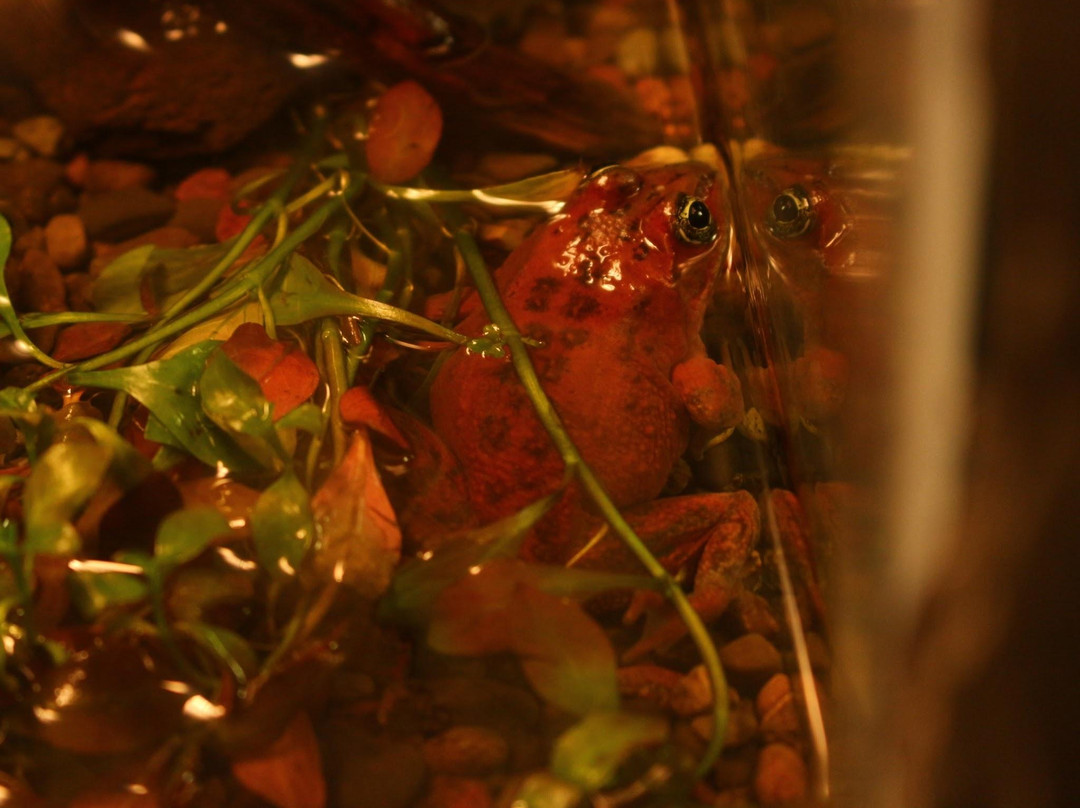 Sunriver Nature Center-太阳河必去景点